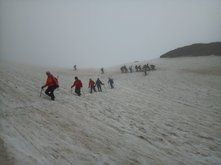 IMG-20250616-WA0002