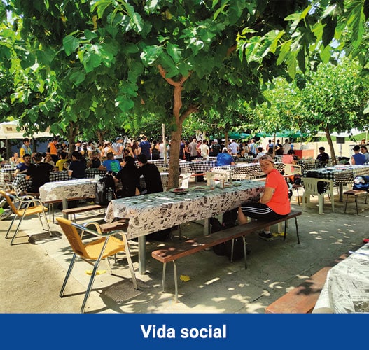 helios_vida-social